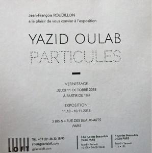 Galerie LOFT  exposition Yazid OULAB  « Particules »  11/10 au 10/11/2018