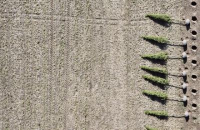 Photographie aérienne