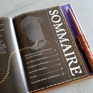 La carte du maraudeur : le guide de Poudlard