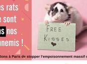 Dans métro, campagne pour protèger rats parisiens