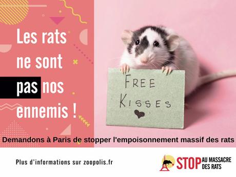 Dans le métro, une campagne pour protèger les rats parisiens