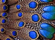 mystère l'être dans tradition Vîrashaiva