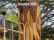 3éme édition Festival Forêt Bois octobre 2018 Château Bourdaisière