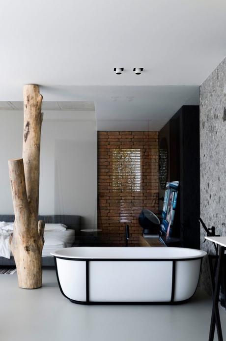 appartement esprit loft baignoire design