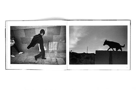 HARVEY STEIN – MEXICO – BETWEEN LIFE AND DEATH