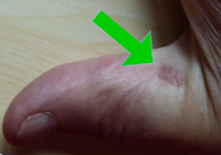 N'oubliez jamais le miel !