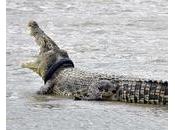 Afrique quand l’État tente d’asphyxier réseaux sociaux