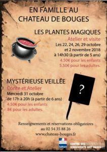 Animations au château de BOUGES ( vacances de la Toussaint) 22 24 26 29 Octobre 2018