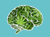 CANNABIS crée bruit fond dans cerveau