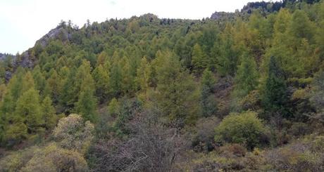 Rando dans le Sichuan