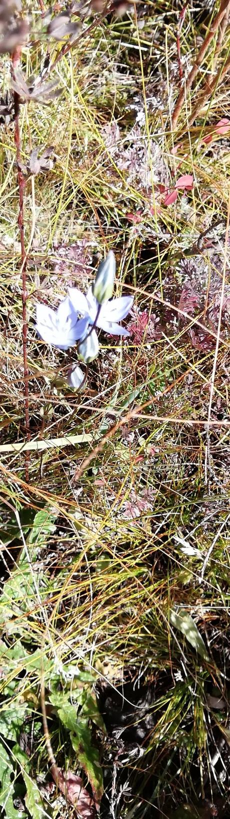 Rando dans le Sichuan