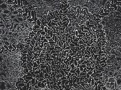 Elysées 2018 artistes aborigènes d'Ampilatwatja, stand 105A