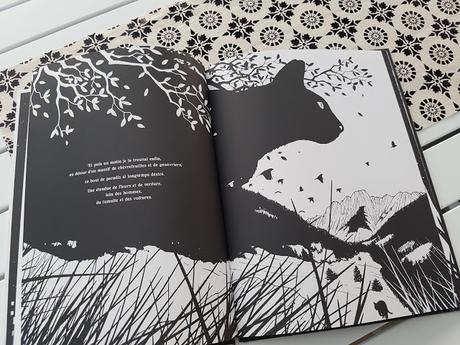 MEPHISTO de Bernard Villiot et Antoine Guilloppé MEPHISTO de Bernard Villiot et Antoine Guilloppé