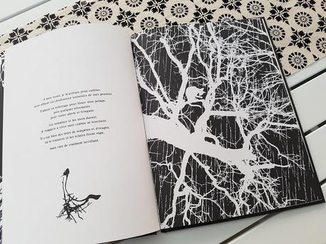 MEPHISTO de Bernard Villiot et Antoine Guilloppé MEPHISTO de Bernard Villiot et Antoine Guilloppé