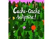 Vincent Bourgeau C&amp;eacute;dric Ramadier Cache-cache surprise