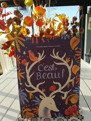 C'est beau ! Illustré par Melissa Castrillon aux Editions Cambourakis ♥ ♥ ♥