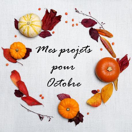 Mes projets pour Octobre