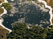 bien étrange paysage