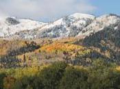 L'apogée couleurs d'automne