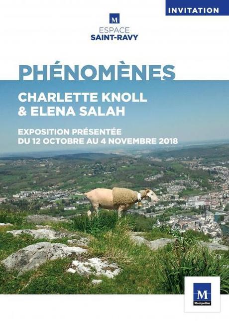 Montpellier | Exposition « Phénomènes » de Éléna Salah & Charlette Knoll à Saint Ravy