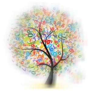 Prochain stage de Numérologie à Castres