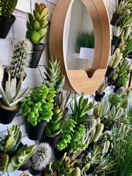 zuiver design hollandais meubles mur cactus plante succulente grillage pegboard - Blog déco - Clem Around The Corner