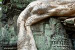 Cambodge – Siem Reap & les temples d’Angkor