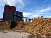 court instant grâce André Bucher