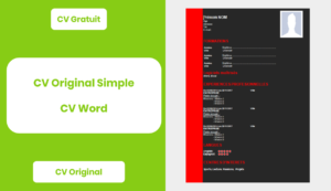 CV Original Simple