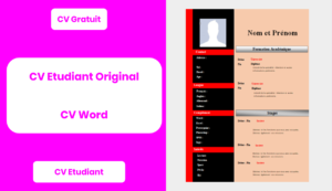 CV Etudiant Original