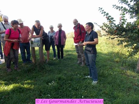 Retour sur la Balade à la découverte des plantes sauvages à Vendin-lez-Béthune