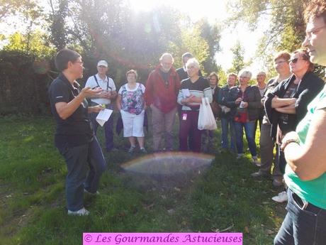Retour sur la Balade à la découverte des plantes sauvages à Vendin-lez-Béthune