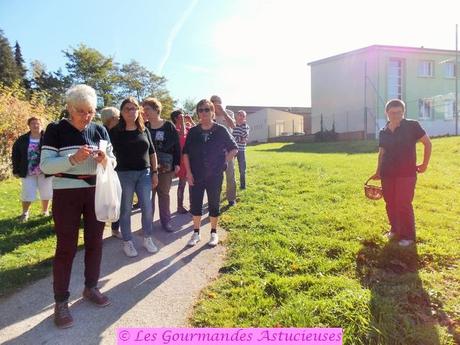 Retour sur la Balade à la découverte des plantes sauvages à Vendin-lez-Béthune