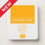 Carte Scrap #1174 Carte Scrap #1174