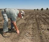 L’Afrique du Sud sur le mauvais chemin ?
