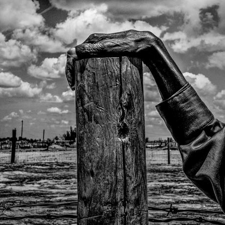 Fence post Allensworth Matt Black, Fence post Allensworth, California 2014