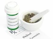 CANNABIS MÉDICAL efficacité large spectre