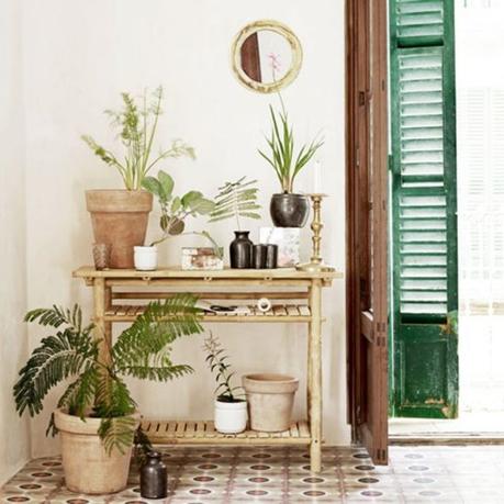 Jardin d’intérieur : un petit coin de nature au cœur de l’hiver jardin d'intérieur