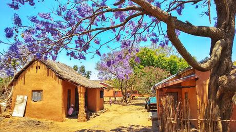 Les chutes de la Lily, Ampefy