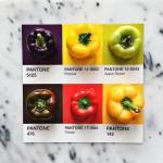 COLORS : Lucy Litman’s Pantone ‘Pairing’ Food Cards