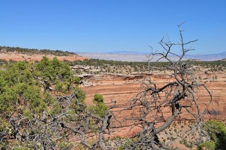 DSC_0251.JPG