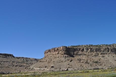DSC_0224.JPG