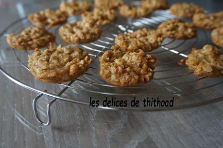 cookies à l'avoine et aux noix