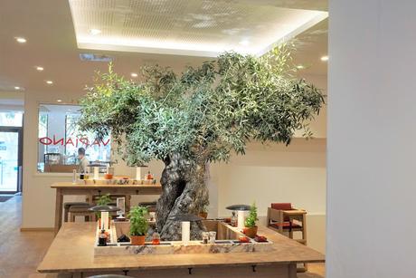 Toute la richesse de l'automne est chez Vapiano Toute la richesse de l'automne est chez Vapiano