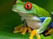 homme souffre d’avoir gros pénis décide donc d’aller chez médecin