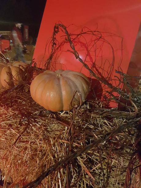 Halloween : quand Walibi nous enferme à Alcatraz... Halloween : quand Walibi nous enferme à Alcatraz...