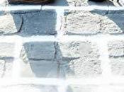 agendas découvrez marelle Samantha Bailly