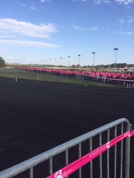 5 ans (ou presque) et 5 kms pour Odysséa