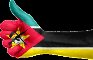 Les affrontements informationnels autour du projet ProSavana au Mozambique