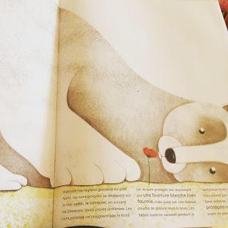 {Album}  Le grand livre des animaux géants - Le petit livre des animaux minuscules de Francesca Cosanti